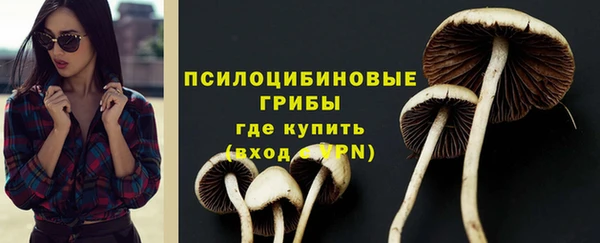 стаф Горно-Алтайск