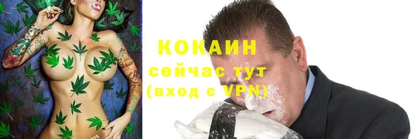 метадон Горняк