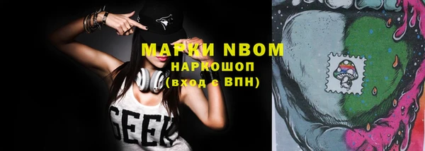 сатива Горнозаводск