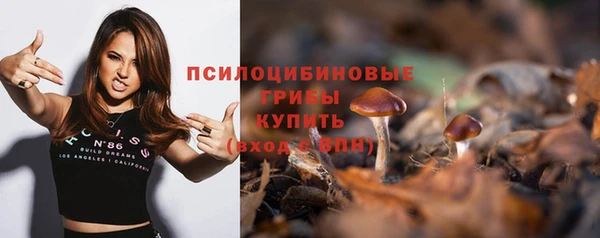 сатива Горнозаводск
