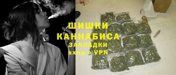 сатива Горнозаводск
