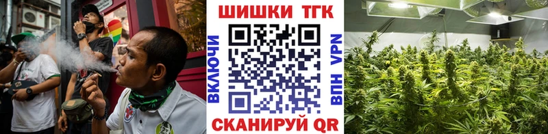 Купить где  Козельск  Конопля гибрид 